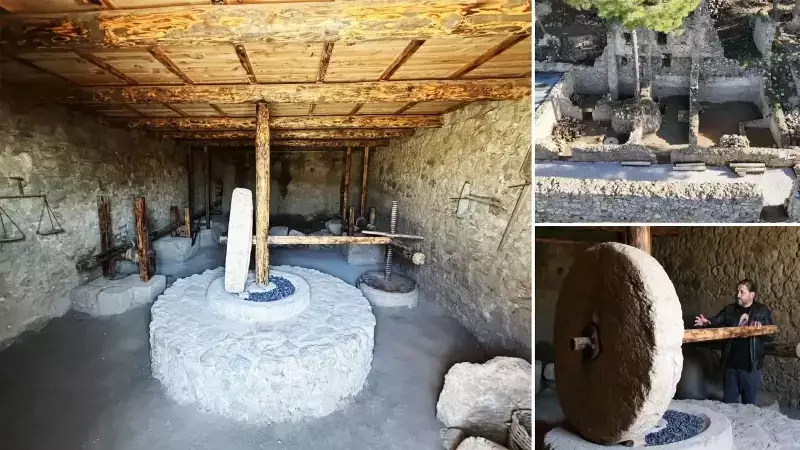 Alanya'daki Syedra Antik Kenti'nde 100'den Fazla Zeytinyağı İşliği Bulundu