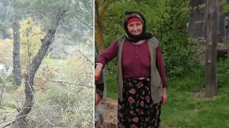 Alzheimer Hastası Şefika Avcı, Çan'da Su Havuzunda Cansız Bulundu