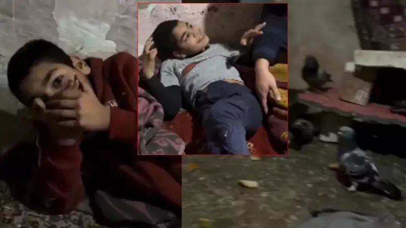 Ankara'da 11 Yaşındaki Adnan Güvercin Kümesinde Bulundu, Bakanlık Devrede