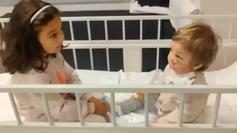 Ankara'da Pitbull Saldırısı: Küçük Efe Hastanede, Doğa Travma Yaşıyor