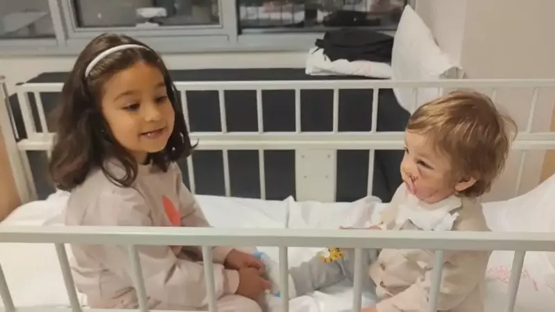 Ankara'da Pitbull Saldırısı: Sahibinin İfadesi 'Gürültü Tartışması'nı Ortaya Çıkardı