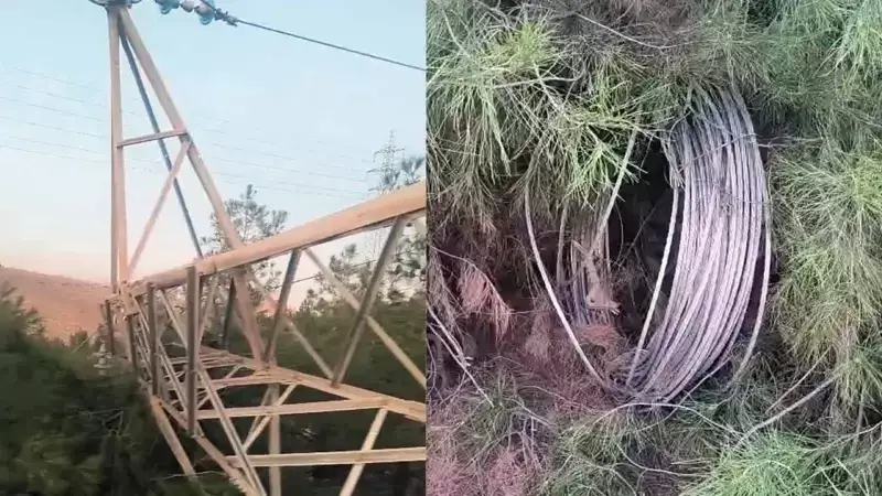 Şanlıurfa'da Elektrik Direği Hırsızlığı: 1000 Abone Enerjisiz Kaldı
