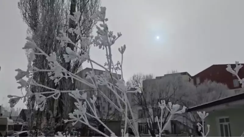 Ardahan'da Eksi 20 Derece: Göle'de Hayat Dondu, Esnaf Halayla Isındı