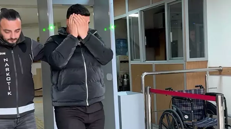 Aydın'da Saksıda 94 Kenevir Ele Geçirildi: 1 Tutuklama