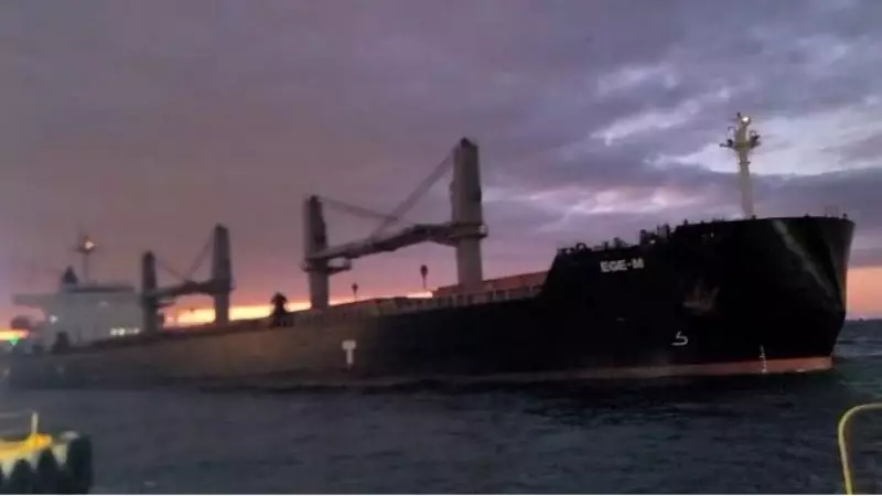 Beşiktaş'ta Kuru Yük Gemisi İskeleye Çarpmadan Son Anda Durduruldu