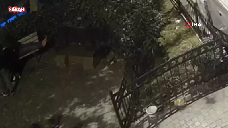 Beyoğlu'nda Bankta Uyuyan Kişinin Telefonu Çalındı: Yankesici Kameralara Yakalandı