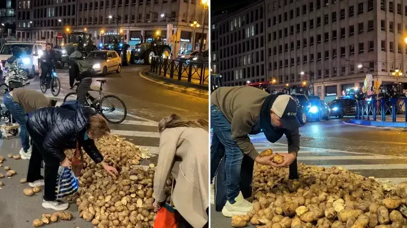 Binlerce Çiftçi Brüksel'de AB Zirvesi'ni Protesto Etti