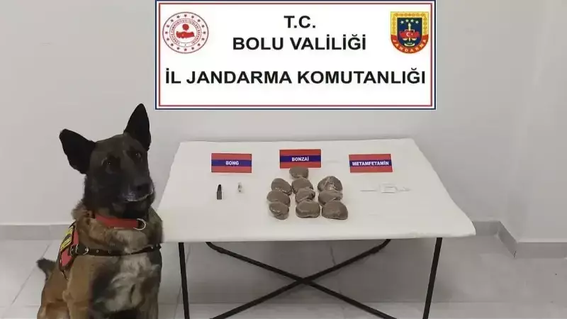 Bolu'da Otomobilde Zulalanmış Uyuşturucu: 2 Gözaltı