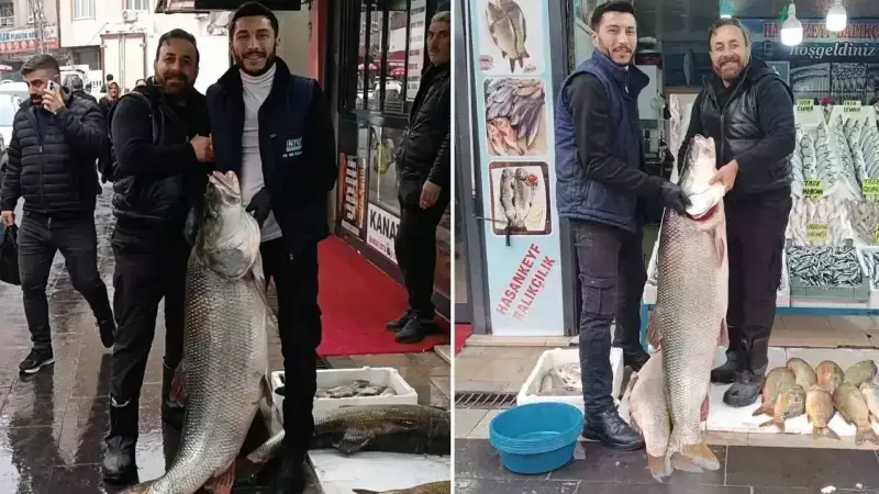 Botan Çayı'nda Devasa 67 Kiloluk Turna Balığı Yakalandı!