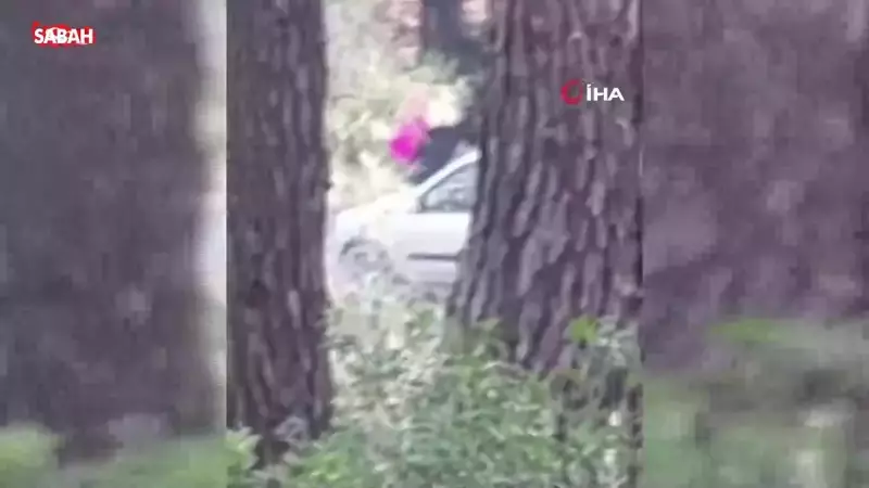 Buca'da Ormanlık Alanda Kadına Şiddet: Sevgilisi Tarafından Darp Edilen Kadın Kurtarıldı