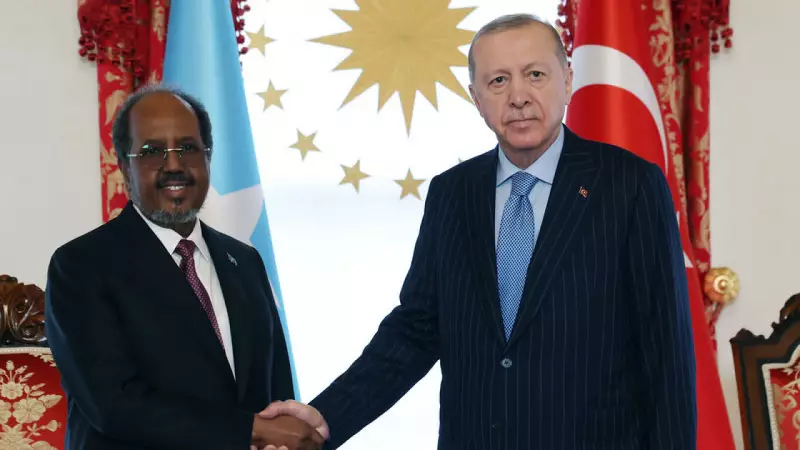 Cumhurbaşkanı Erdoğan, Somali Lideri Mahmud'u Dolmabahçe'de Ağırladı