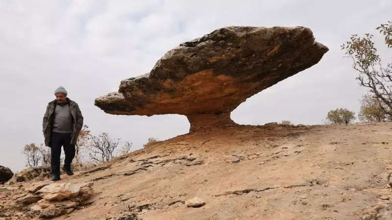 Diyarbakır'da 5-6 Milyon Yıllık Buzul Çağı Kalıntısı: Mantar Kaya