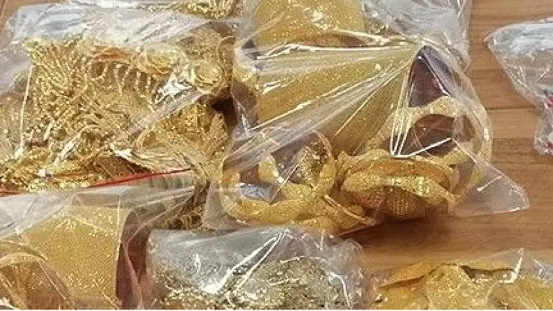 Edirne'de 200 Bin Euro Değerinde Altın Kaçakçılığı: Komşu Yakalandı