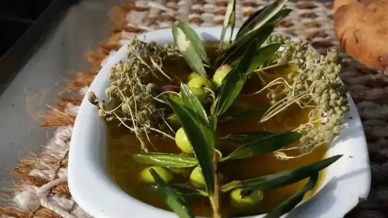 Erken ve Olgun Hasat Zeytinyağı Farkı: Balıkesir'de Uzman Açıkladı