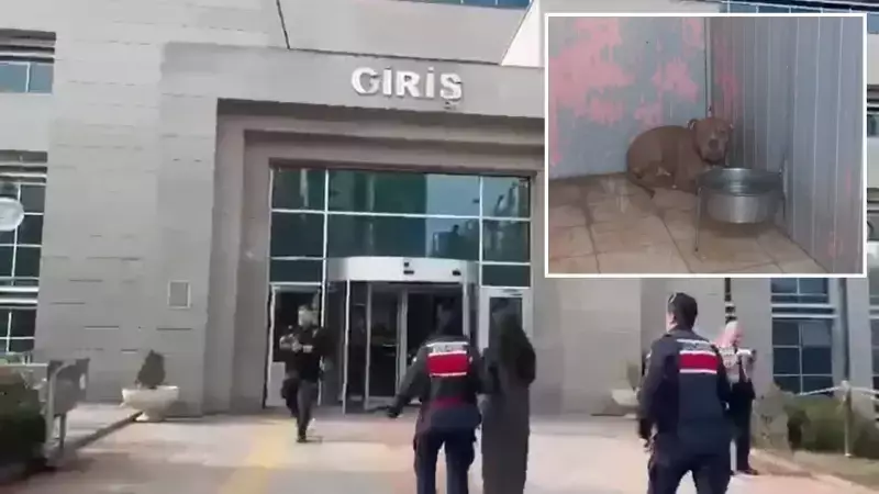 Etimesgut'ta Pitbull Saldırısı: 1,5 ve 5 Yaşındaki Kardeşler Yaralandı