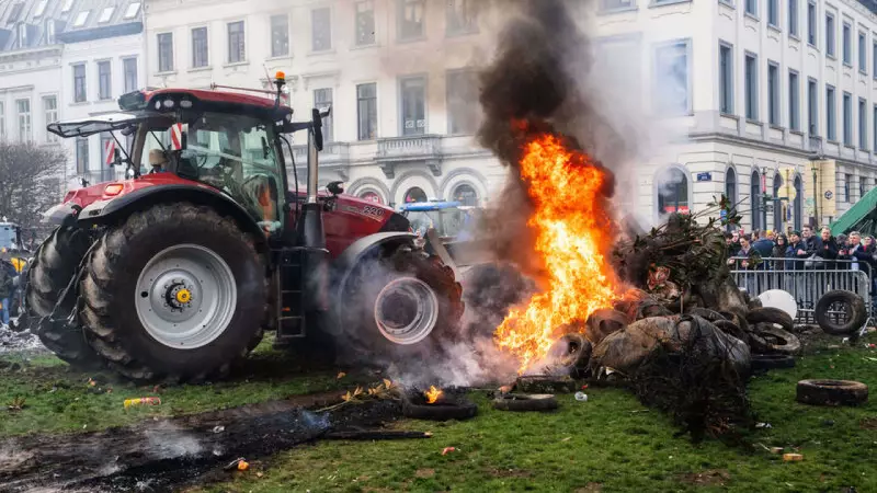Fransız Hükümeti Çiftçilere Noel Ateşkesi Teklif Etti