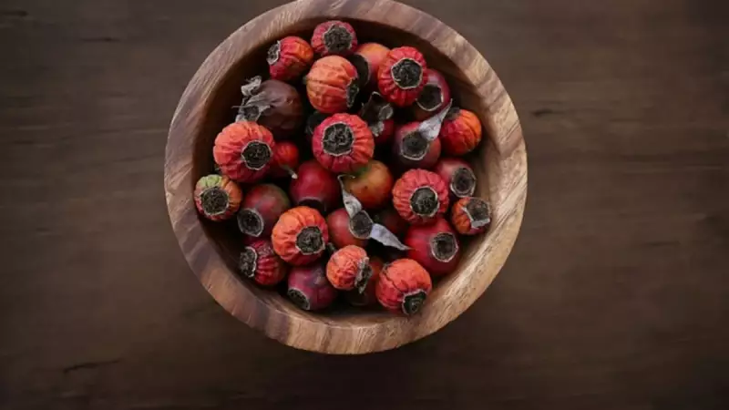 Günde Bir Bardak Kuşburnu Çayı İçenler Şifa Buluyor!