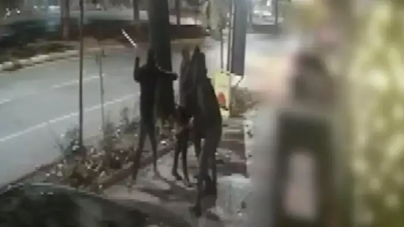 Isparta'da Sopayla Saldırı: 3 Kişi Tutuklandı, 3 Bıçak ve 50 Fişek Ele Geçirildi