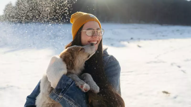 Kışın Evcil Hayvan Bakımı: Patileri Korumanın ve Sağlıklı Tutmanın 5 Yolu