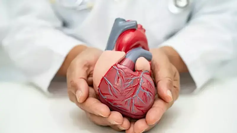 Kışın Kalp Krizi Riski Artıyor: Uzman Soğuk Hava ve Enfeksiyonlara Karşı Uyardı