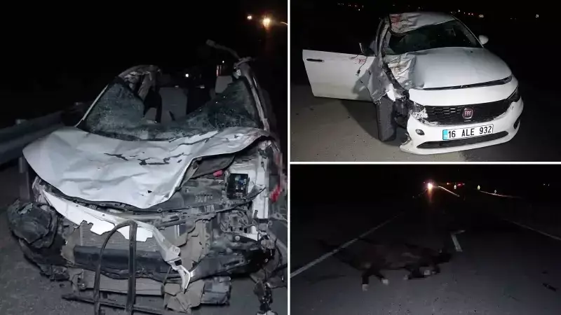 Malatya'da Milyonluk Yarış Atları Karayolunda: 3 Araç Hasarlı, 1 Yaralı