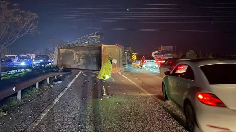 Malatya'da Milyonluk Yarış Tayları Çiftlikten Kaçtı: 8 Ölü, Yaralılar Var