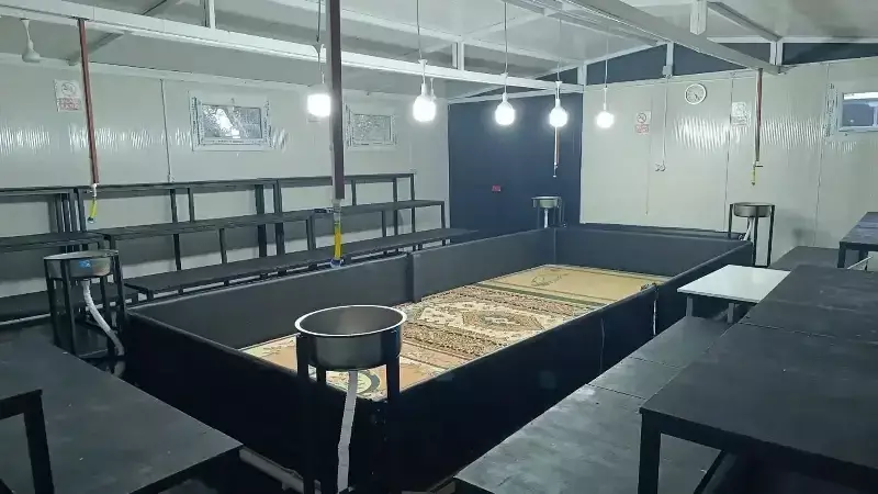 Manisa'da Horoz Dövüşü ve Kumar Operasyonu: 10 Horoz Ele Geçirildi