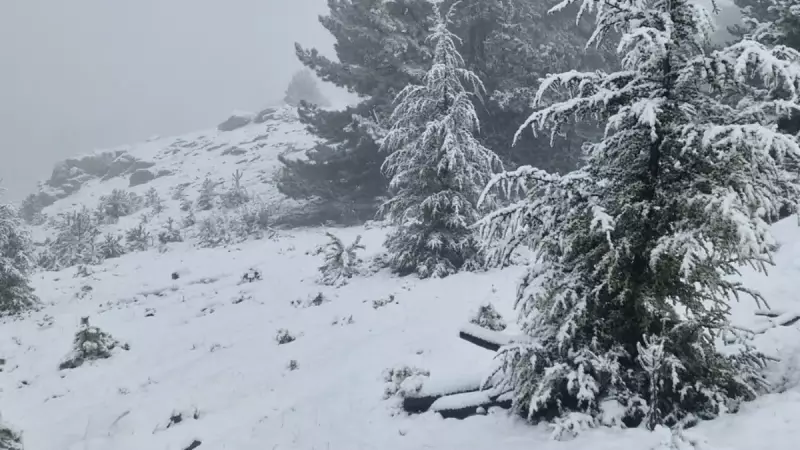 Muğla'da Kar Kalınlığı 1 Metreye Ulaştı: Yüksek Kesimler Beyaza Büründü