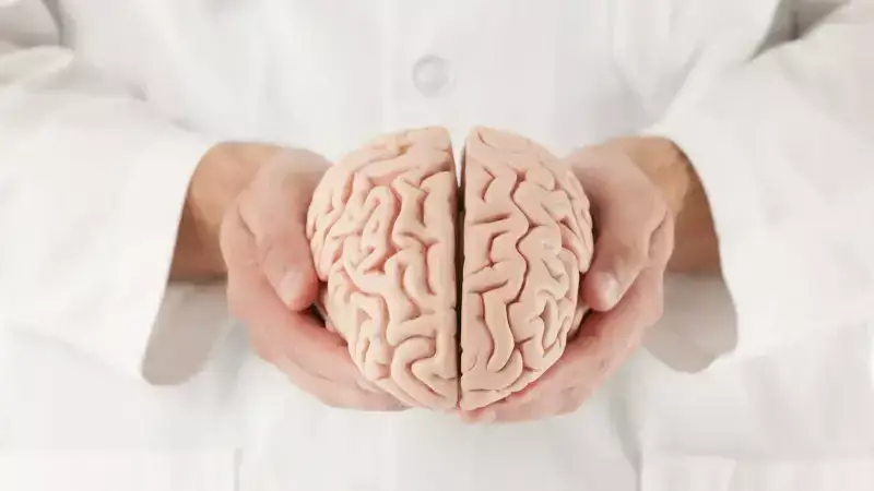 Nörolojik Hastalıklar Artıyor: Uzman İlk 24 Saatin Hayati Önemini Vurguladı