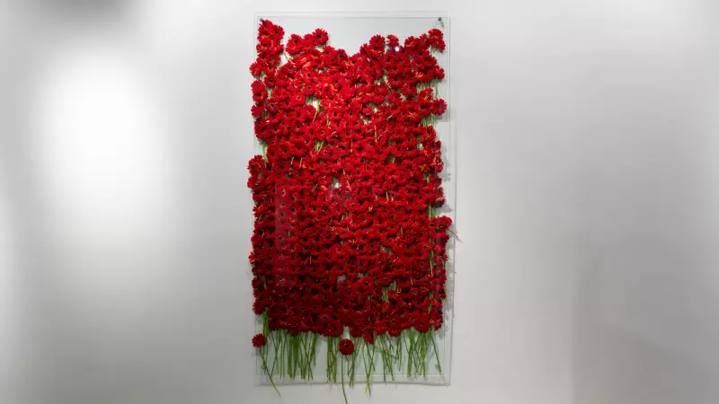 Pera Müzesi'nde Küratör Turları: Ortak Duygular Sergisi'ni Ulya Soley Anlatacak