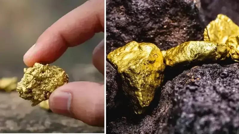 İran, Güney Horasan'da 61 Milyon Tonluk Büyük Altın Keşfi Duyurdu