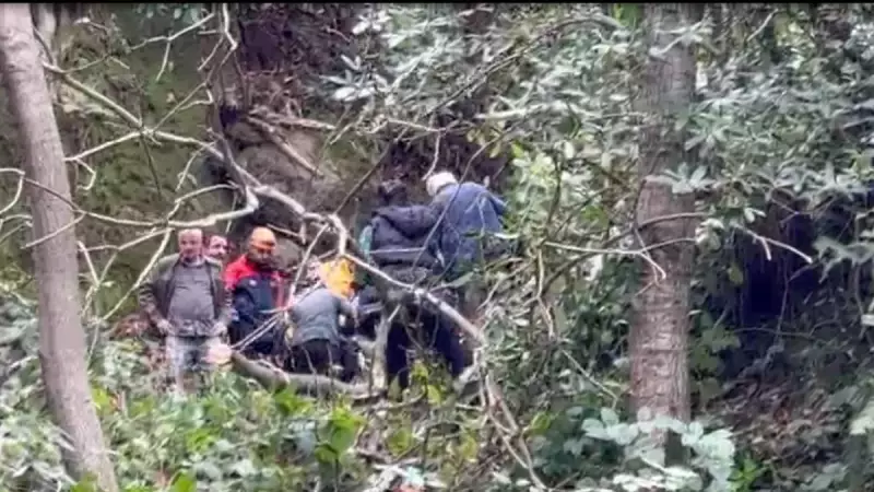 Rize'de Kesilen Ağaç İşçiye Çarptı: 57 Yaşındaki Ahmet Yalçın Doğan Yaralandı