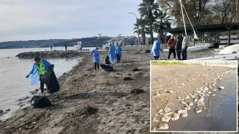 Sinop Sahilinde Görülen Kirlilik İncelemeye Alındı