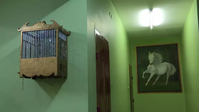 İstanbul Modern'de 'Bakma Eylemi': Ali Kazma'nın 15 Yıllık Film Seçkisi