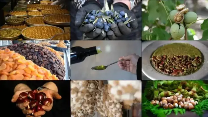 Türkiye Coğrafi İşaret ve Patent Başvurularında Dünya Sıralamasında Yükseliyor