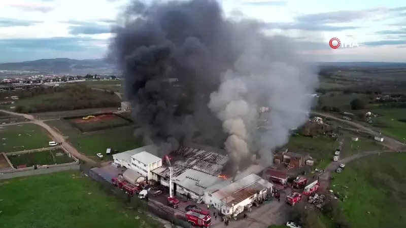 Tuzla'da Kauçuk ve Karton Fabrikasında Yangın: Söndürme Çalışmaları Sürüyor