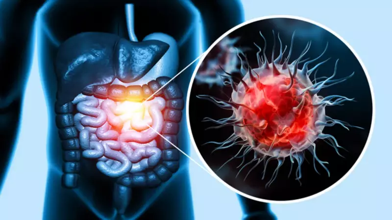 Uzman Uyardı: Gereksiz Antibiyotik Kullanımı Kolon Kanseri Riskini Artırıyor