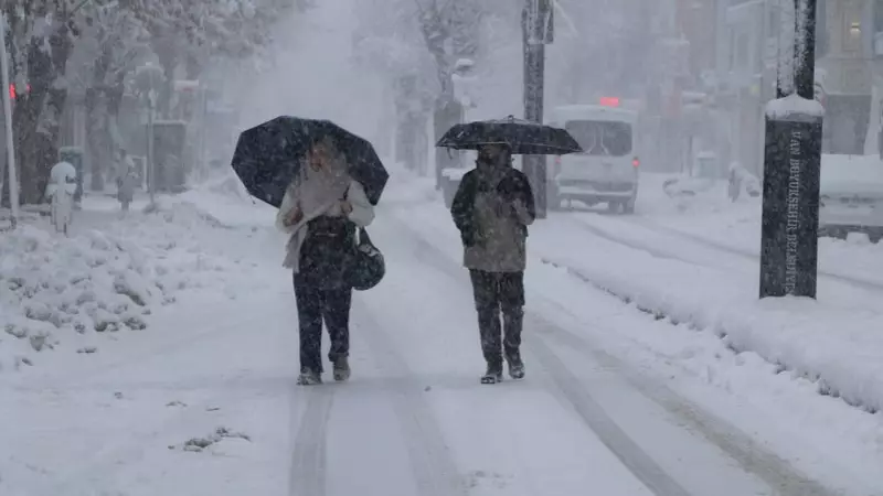 Van'da Kar Felaketi: 569 Yerleşim Yeri Ulaşıma Kapandı