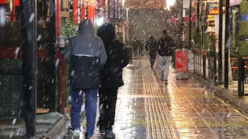 Van'da Mevsimin İlk Karı Yağdı, Sokaklar Beyaza Büründü