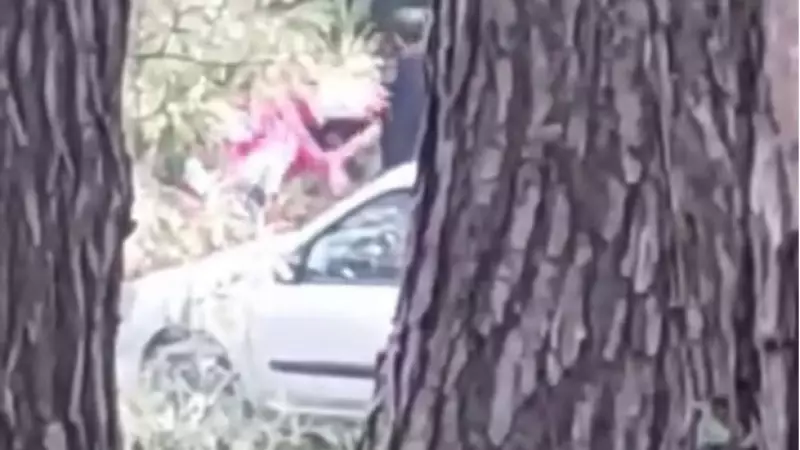 İzmir'de Ormanlık Alanda Kadına Şiddet: Saldırgan Kısa Sürede Yakalandı