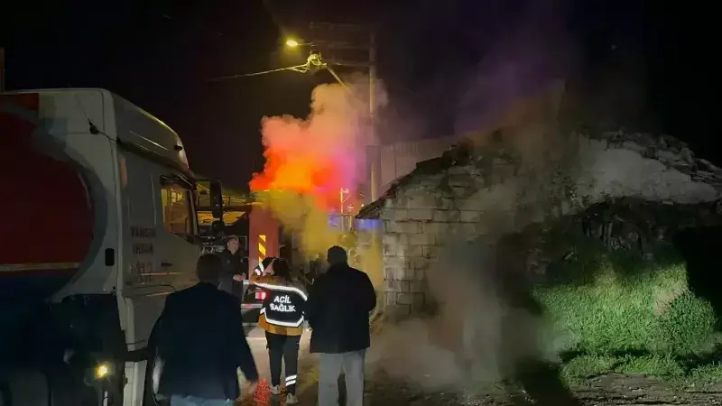 İznik'te Çıkan Yangında 80 Yaşındaki Ahmet Demircan Hayatını Kaybetti