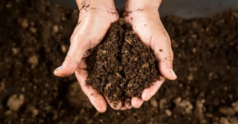 Zonal Topraklar Nedir? 7 Çeşidi ve Özellikleri Açıklandı