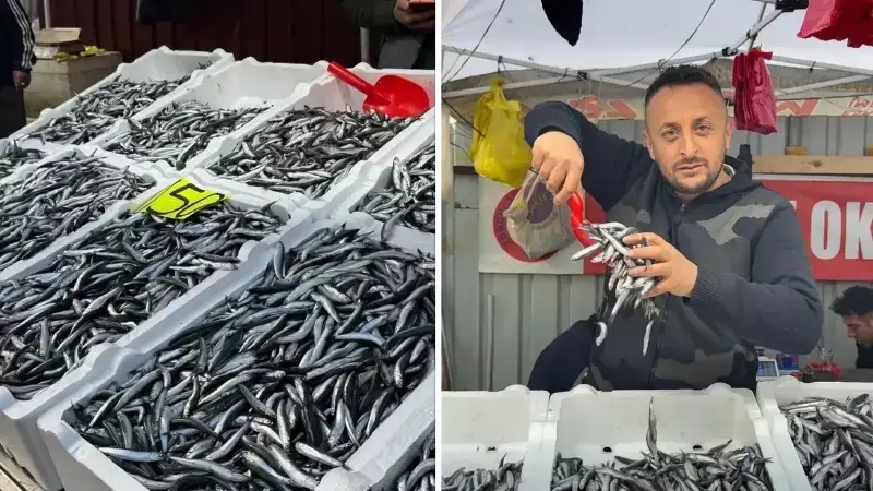 Zonguldak'ta Hamsi Bolluğu Sona Erdi: Fiyatlar 150 Liraya Yükseldi