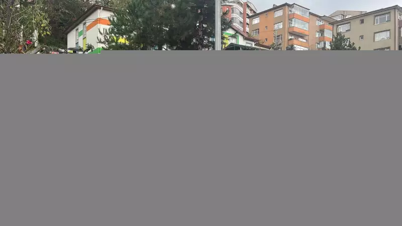 Zonguldak'ta Yürek Burkan Kaza: 4 Yaşındaki Sarp Eymen Darıcı Park Halindeki Kamyonetin Çarpması Sonucu Hayatını Kaybetti