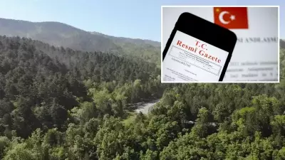 11 İlde Orman Sınırları Değişti: Yeni Tahsisler ve Doğal Sit Alanında Revizyon