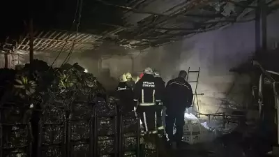 Alanya'da Muz Sarartma Tesisinde Çıkan Yangın İki Tesise Zarar Verdi