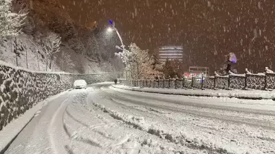 Artvin'de Kar Yağışı Hayatı Olumsuz Etkiledi: Yollar Kapandı, Trafik Aksamaları Yaşandı