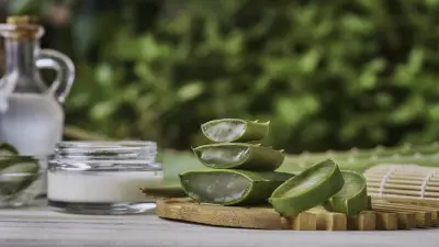 Evde Aloe Vera Yetiştirme Rehberi: Doğal Cilt Bakımı İçin 5 Adım