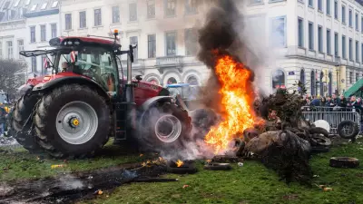 Fransız Hükümeti Çiftçilere Noel Ateşkesi Teklif Etti