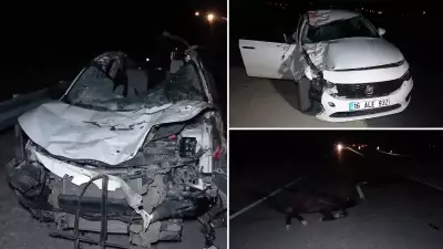 Malatya'da Milyonluk Yarış Atları Karayolunda: 3 Araç Hasarlı, 1 Yaralı